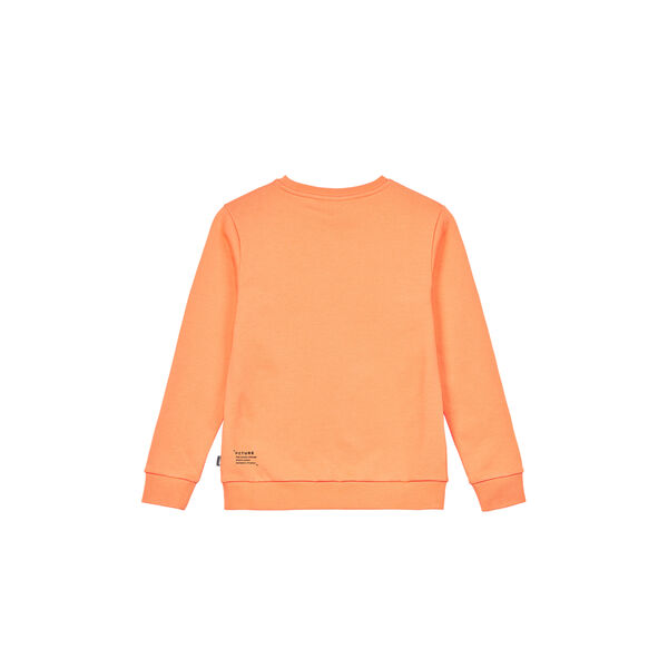 Picture Authentic Crew Kids