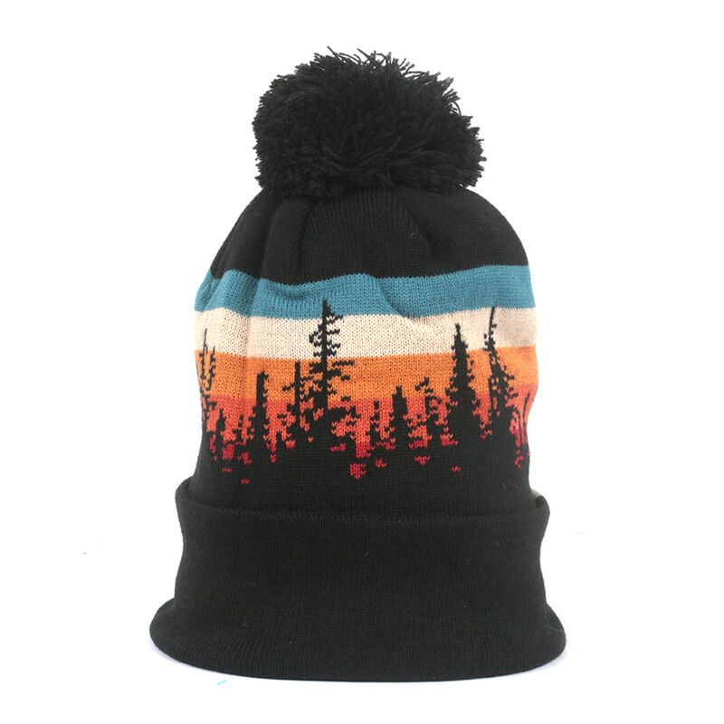 Locale Lodgepole Beanie image number 0
