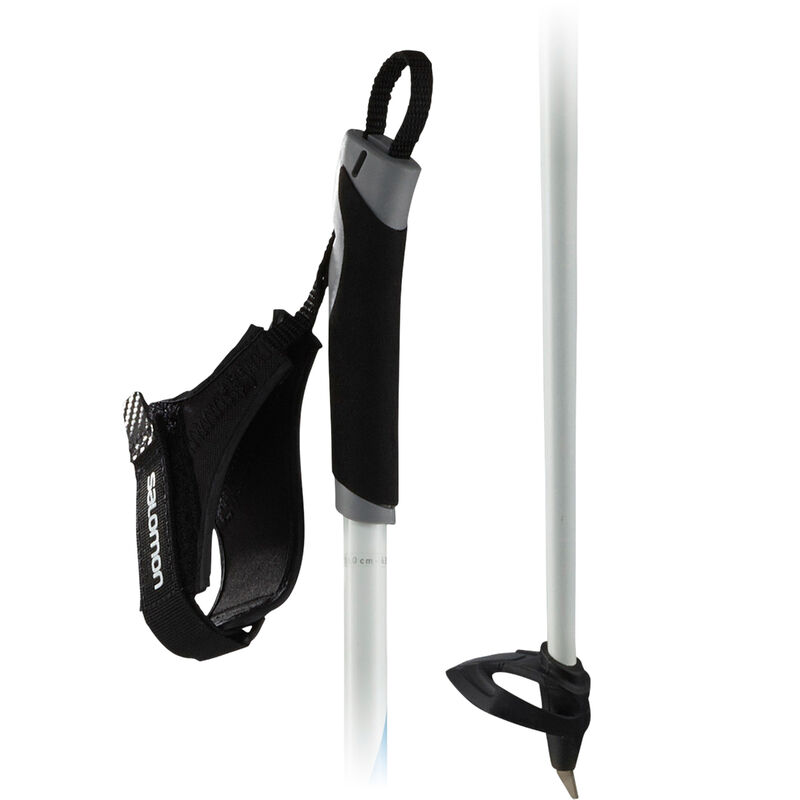 Salomon R 20 Ski Pole image number 0