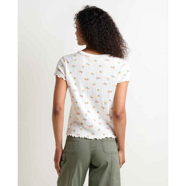 Toad&Co Foothill Pointelle Baby Tee Womens