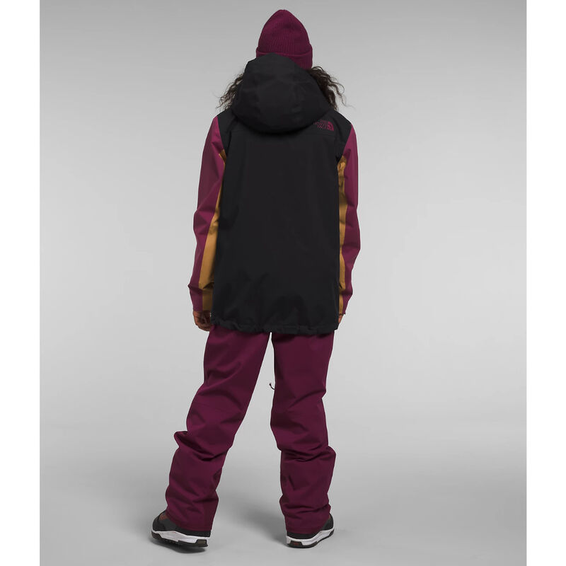 The North Face Freedom Stretch Jacket Mens image number 1