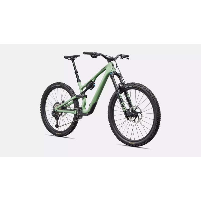 Specialized Stumpjumper 15 EVO Expert Mountain Bike - S3 Gloss Pistachio image number 1