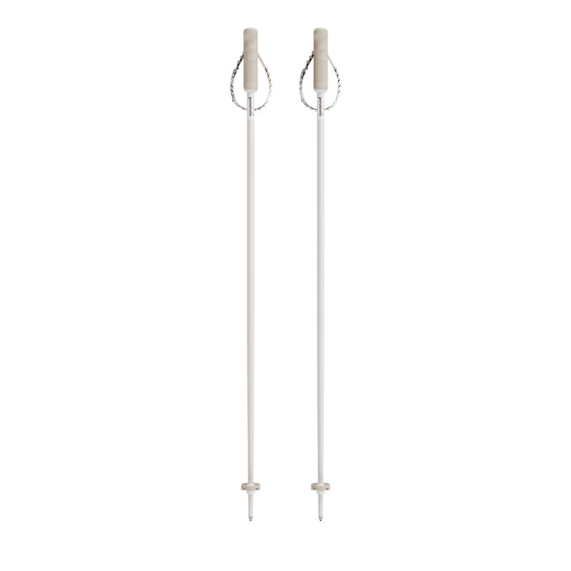 Yardsale P1 Resort Ski Poles image number 0