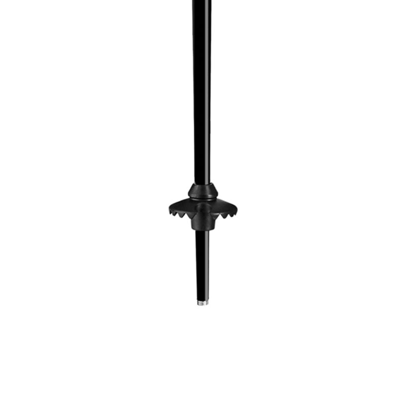 Leki Quantum PAS Ski Poles image number 2