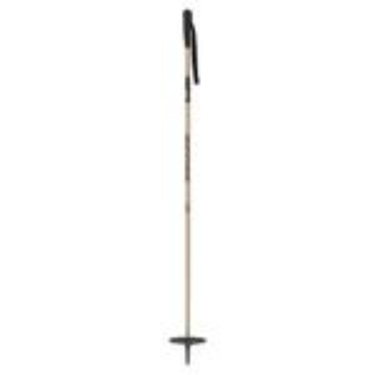 Scott SCO Origin Ski Poles | Christy Sports