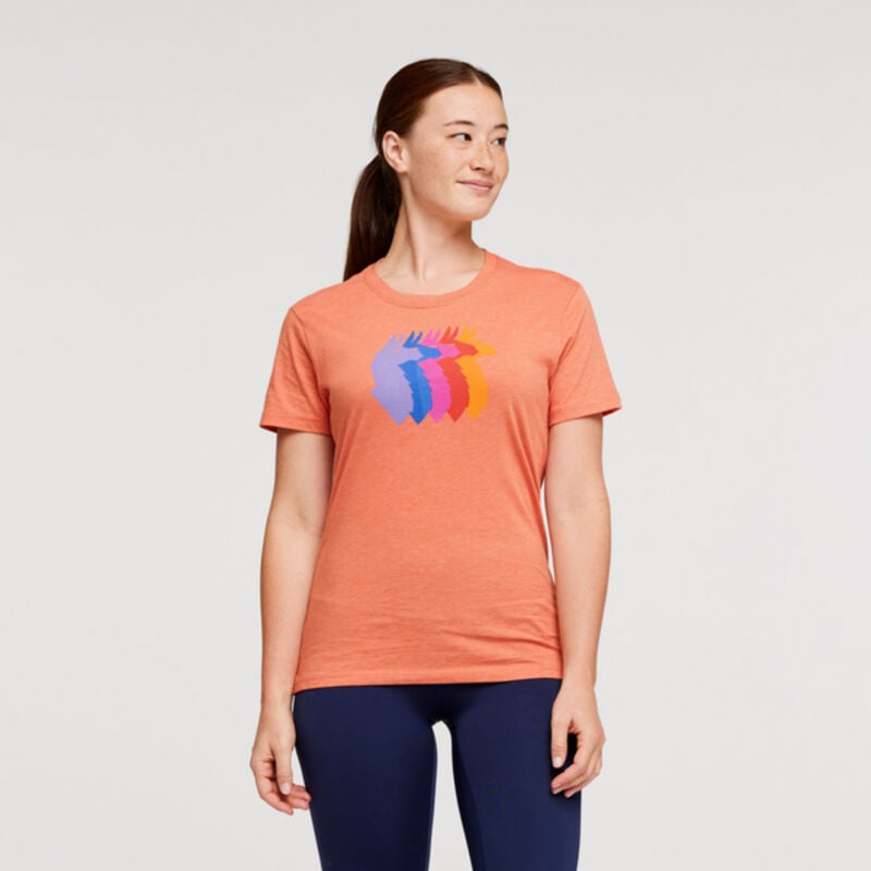 Cotopaxi Llama Sequence Organic T-Shirt Womens image number 2