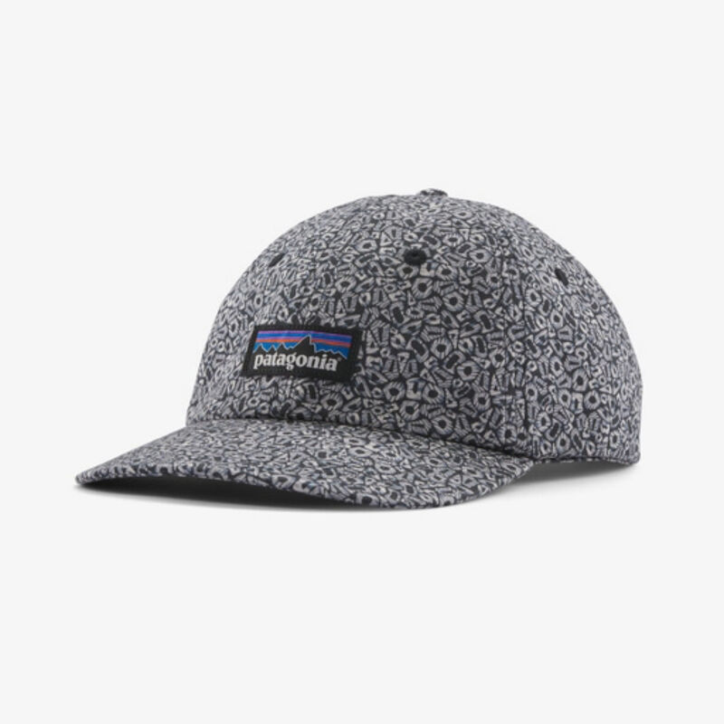 Patagonia P-6 Label Trad Cap image number 0