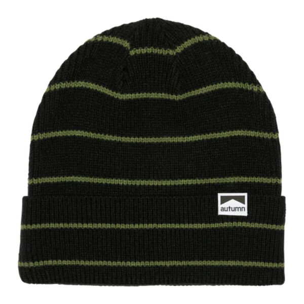 Autumn Pinstripe Surplus Beanie