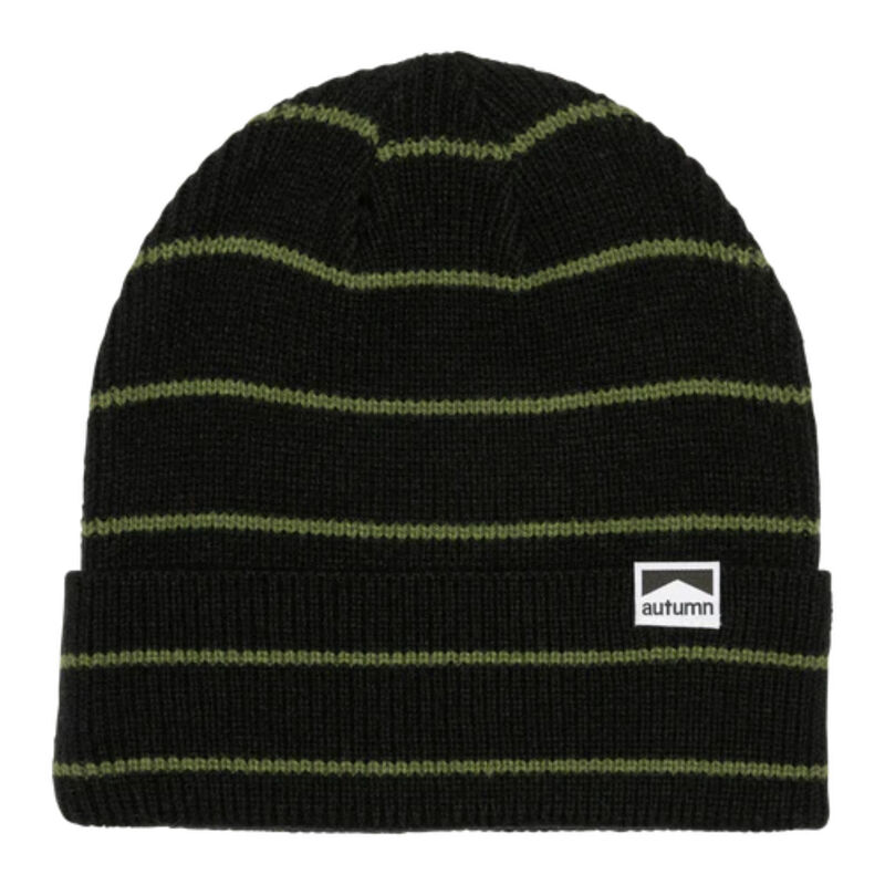 Autumn Pinstripe Surplus Beanie image number 0