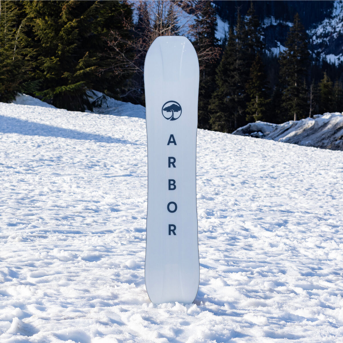 Arbor Terra Twin Camber Snowboard Mens | Christy Sports