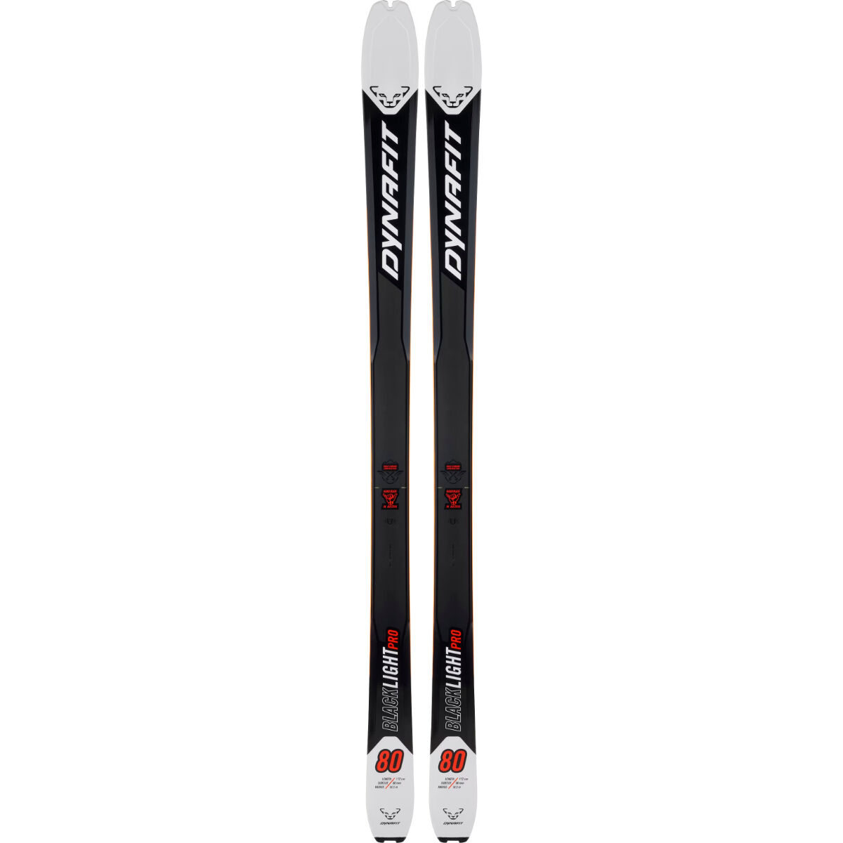 Dynafit Blacklight Pro Race Skis | Christy Sports