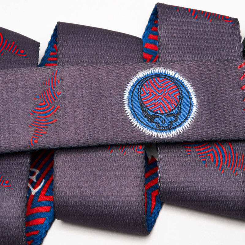 Arcade Grateful Dead We are Everywhere Belt image number 1