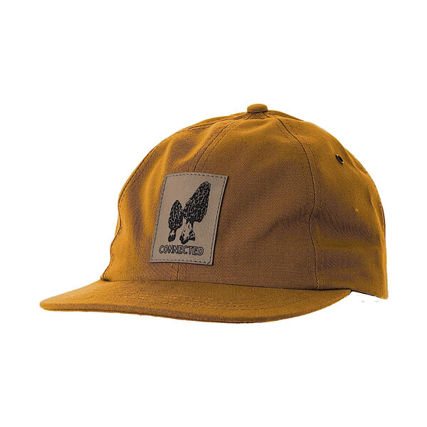 Ambler Lardeau Snapback Hat