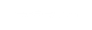 stockli logo
