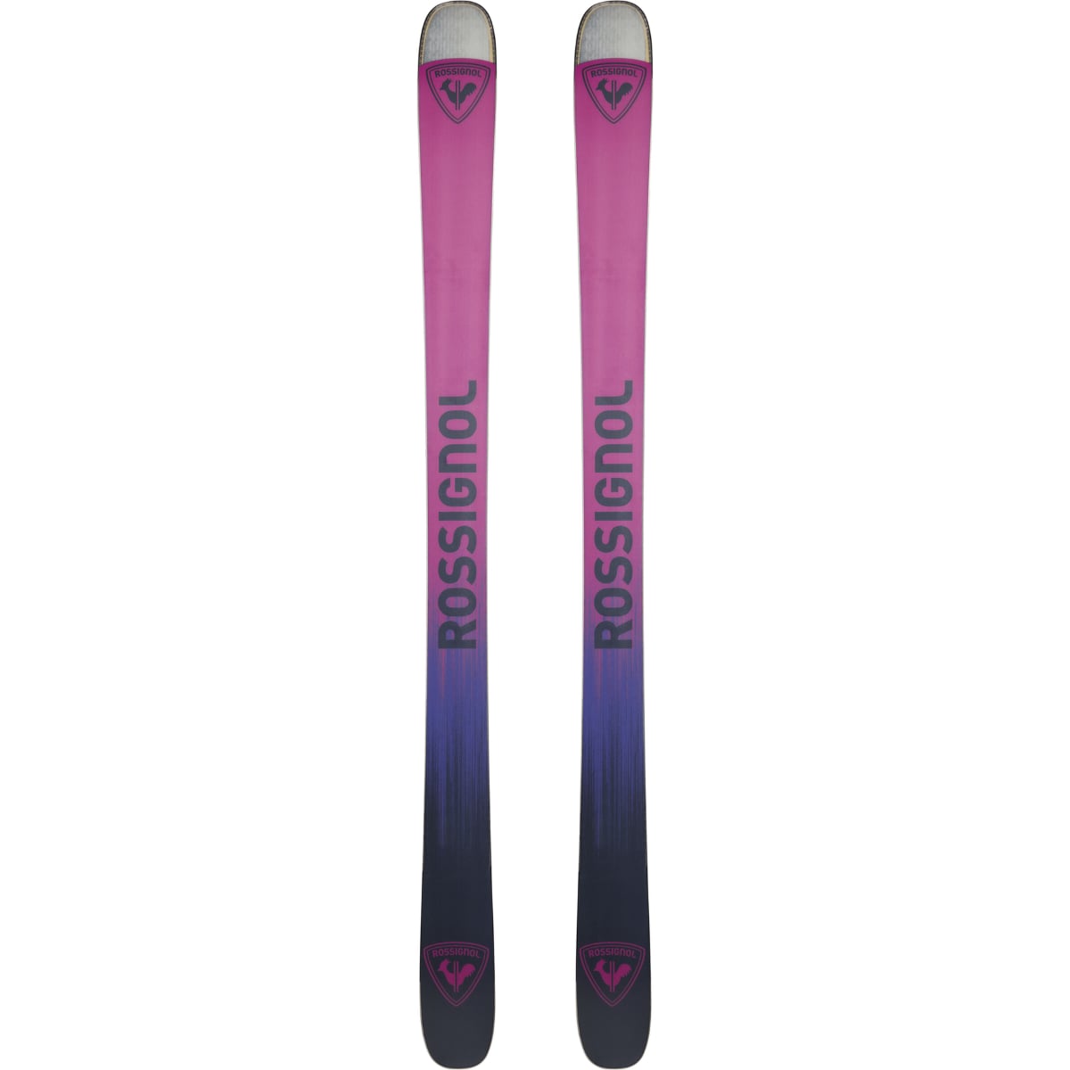 Rossignol Sender Free 100 Open Skis | Christy Sports