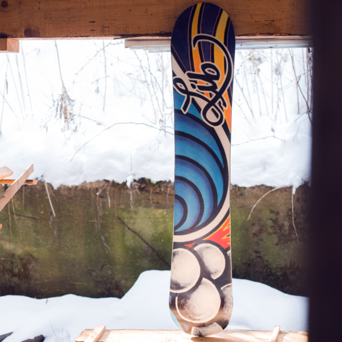 Lib Tech Dynamiss Snowboard Womens | Christy Sports