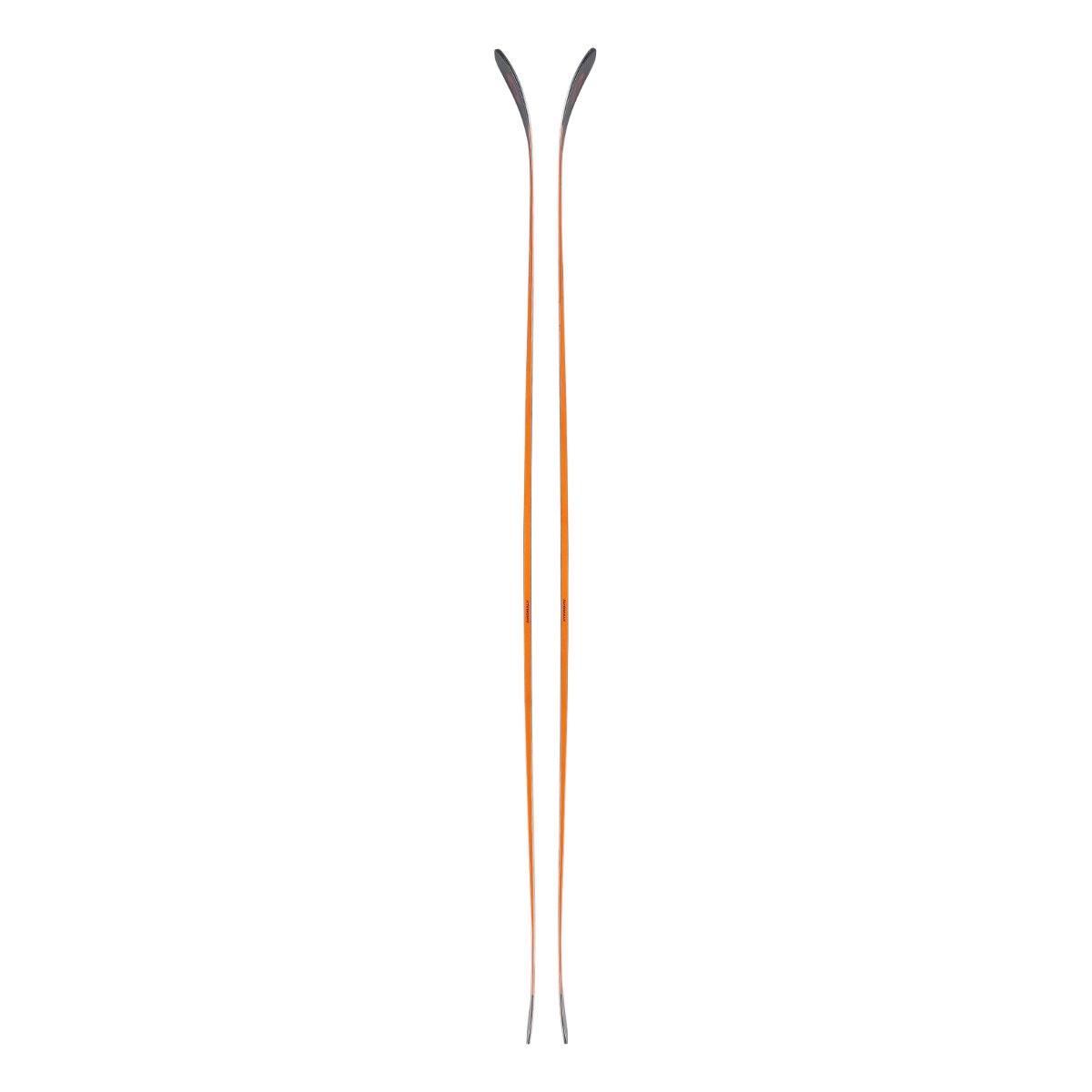 Blizzard Anomaly 88 Skis Mens | Christy Sports