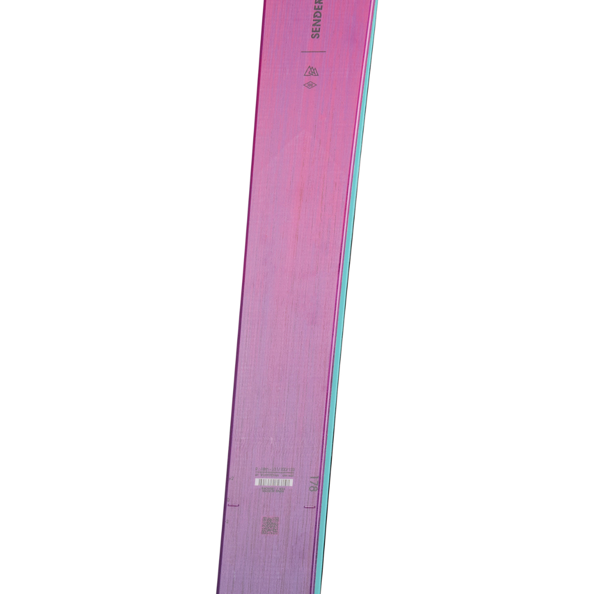 Rossignol Sender Free 100 Open Skis | Christy Sports